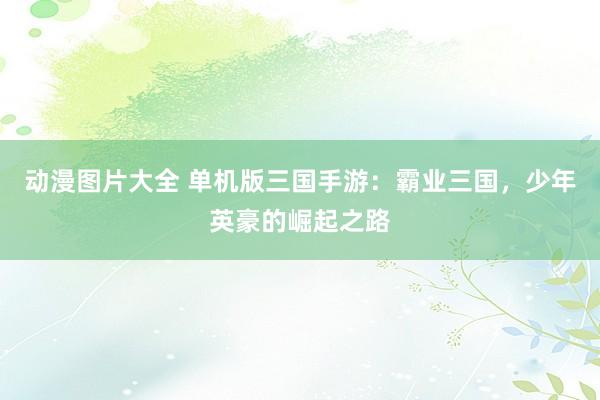 动漫图片大全 单机版三国手游：霸业三国，少年英豪的崛起之路