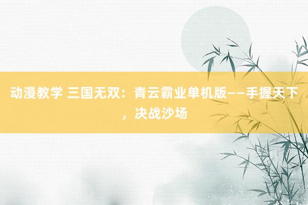 动漫教学 三国无双：青云霸业单机版——手握天下，决战沙场