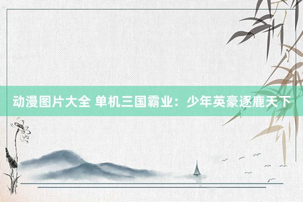 动漫图片大全 单机三国霸业：少年英豪逐鹿天下