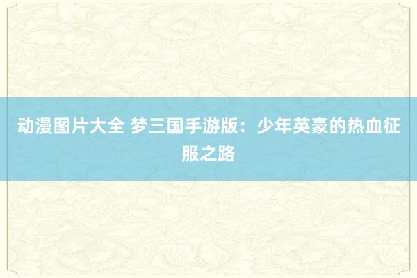 动漫图片大全 梦三国手游版：少年英豪的热血征服之路