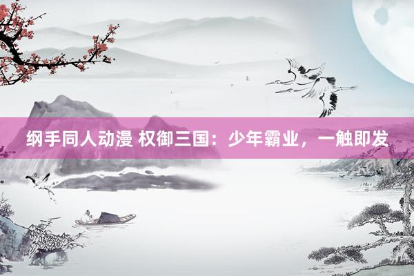 纲手同人动漫 权御三国：少年霸业，一触即发