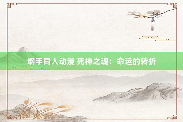 纲手同人动漫 死神之魂：命运的转折